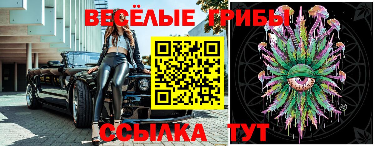 ГЕРОИН Кировск