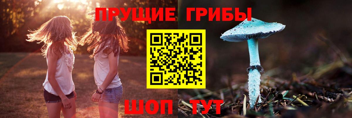 Галлюциногенные грибы Cubensis  Вход с VPN  Кировск 