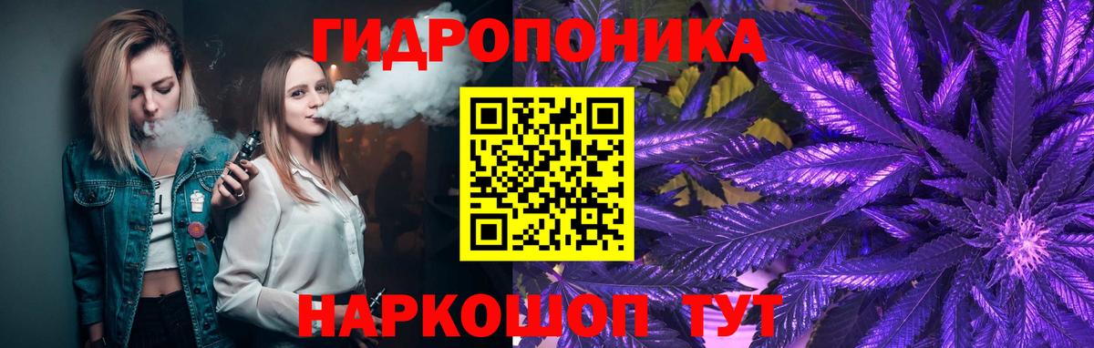 Кировск  Бошки марихуана Bruce Banner  Конопля гибрид  Вход с VPN  Шишки марихуана Bruce Banner 